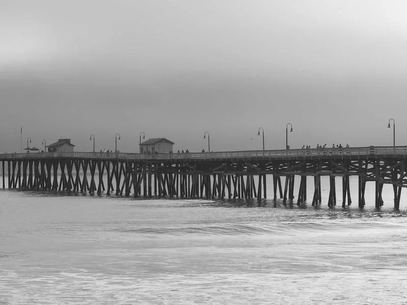 Cover photo for Help us bring this community event to life